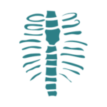 Spinal deformities assessment and deformity correction surgery by Dr Jaytesh Pillay