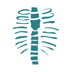 Spinal deformities assessment and deformity correction surgery by Dr Jaytesh Pillay