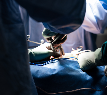 Specialised instruments used during an endoscopic spine surgery procedure through a small surgical incision