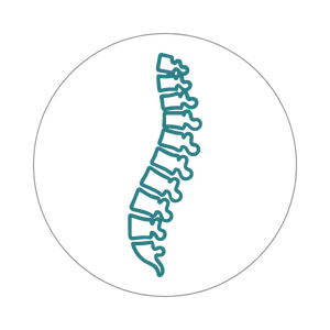 Spine icon representing specialised spinal treatment and patient outcomes under the care of Dr Jaytesh Pillay